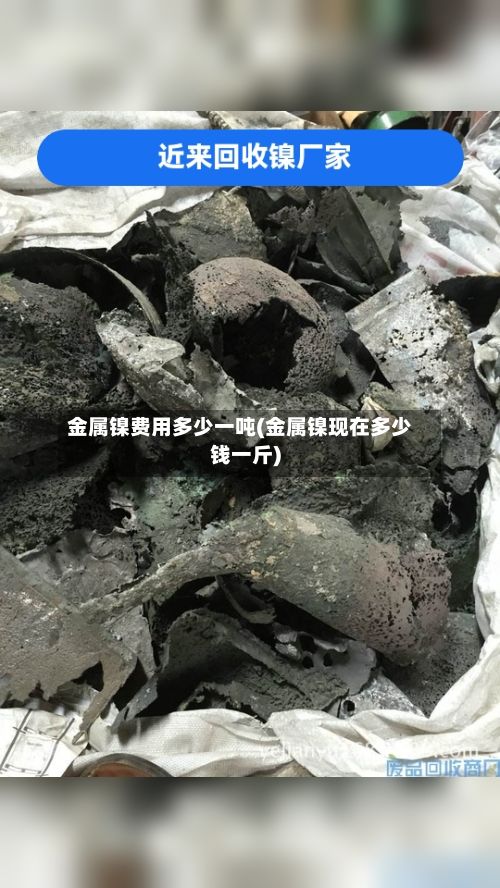 金属镍费用多少一吨(金属镍现在多少钱一斤)-第2张图片