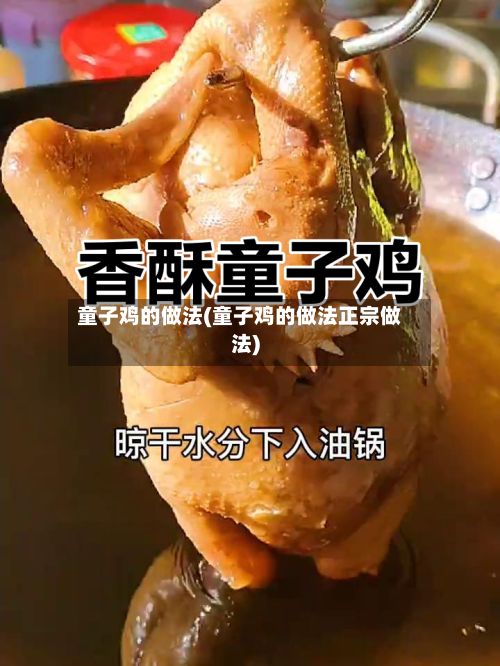 童子鸡的做法(童子鸡的做法正宗做法)