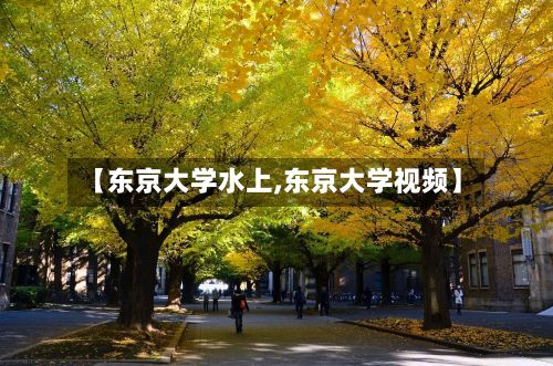 【东京大学水上,东京大学视频】-第3张图片