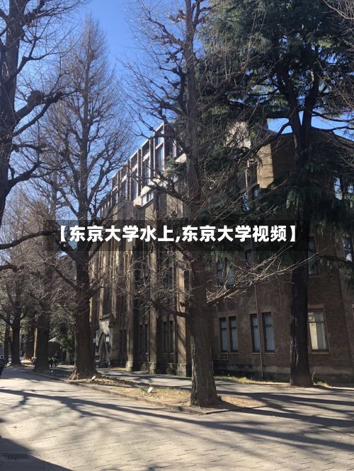 【东京大学水上,东京大学视频】-第2张图片