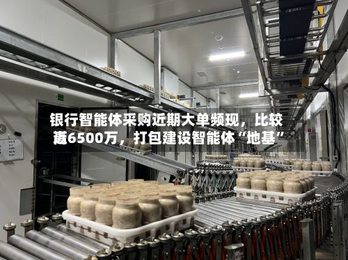 银行智能体采购近期大单频现，比较高近6500万，打包建设智能体“地基”