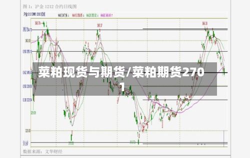 菜粕现货与期货/菜粕期货2701
