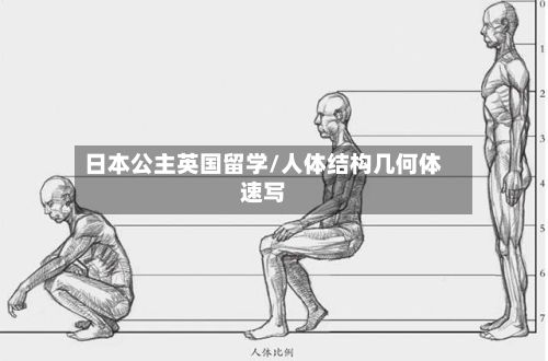 日本公主英国留学/人体结构几何体速写