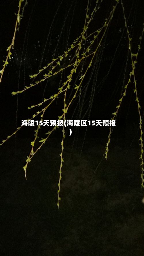 海陵15天预报(海陵区15天预报)