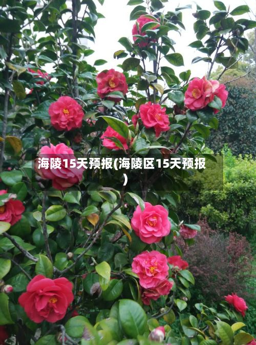 海陵15天预报(海陵区15天预报)-第2张图片