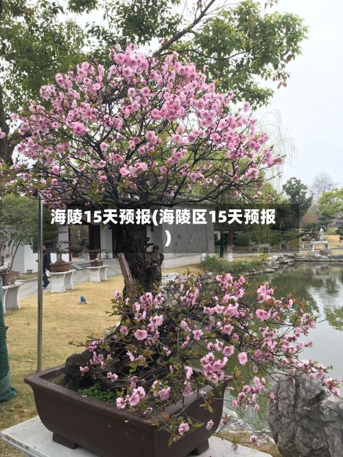 海陵15天预报(海陵区15天预报)-第3张图片