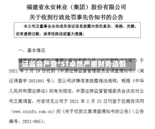 证监会严查*ST卓然严重财务造假-第3张图片