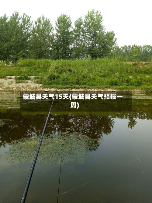 蒙城县天气15天(蒙城县天气预报一周)-第2张图片