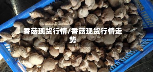 香菇现货行情/香菇现货行情走势-第2张图片