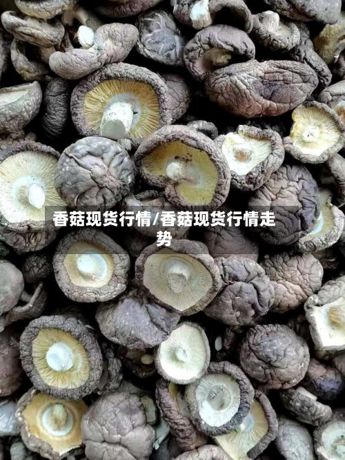 香菇现货行情/香菇现货行情走势