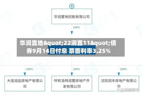 华润置地"22润置11"债券9月14日付息 票面利率3.25%