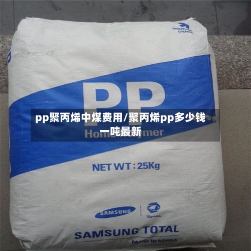 pp聚丙烯中煤费用/聚丙烯pp多少钱一吨最新-第2张图片