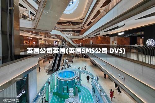 英国公司英国(英国SMS公司 DVS)