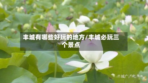 丰城有哪些好玩的地方/丰城必玩三个景点