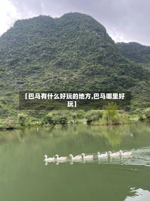 【巴马有什么好玩的地方,巴马哪里好玩】-第2张图片