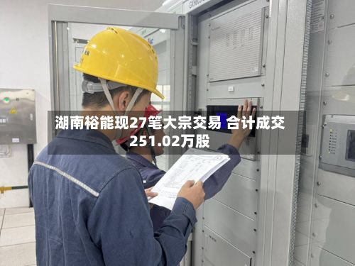 湖南裕能现27笔大宗交易 合计成交251.02万股-第1张图片