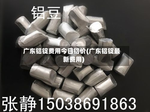 广东铝锭费用今日铝价(广东铝锭最新费用)
