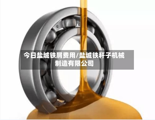 今日盐城铁屑费用/盐城铁秆子机械制造有限公司