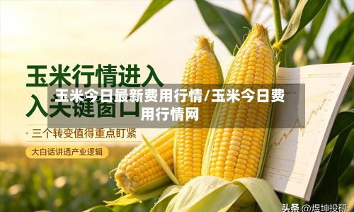 玉米今日最新费用行情/玉米今日费用行情网-第3张图片