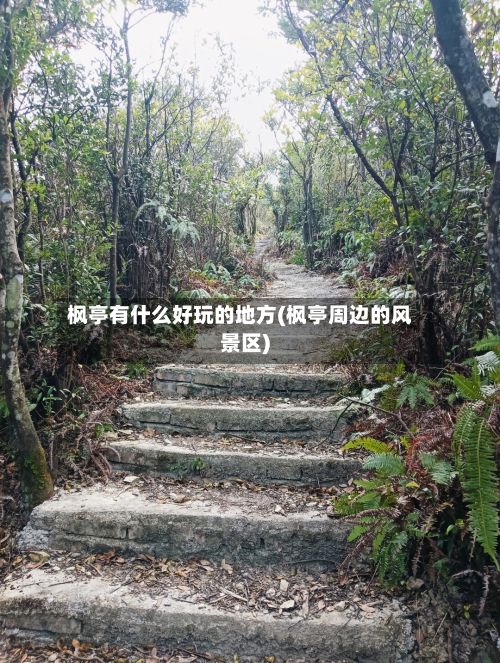 枫亭有什么好玩的地方(枫亭周边的风景区)