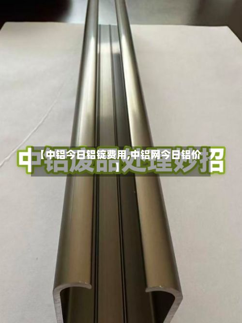【中铝今日铝锭费用,中铝网今日铝价】