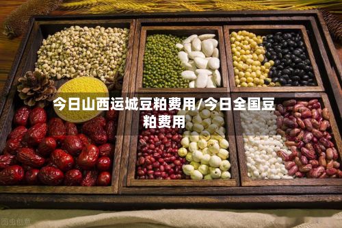 今日山西运城豆粕费用/今日全国豆粕费用