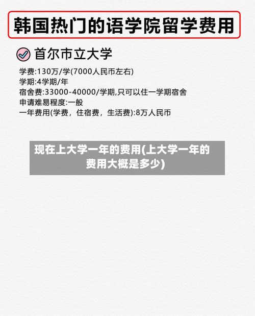 现在上大学一年的费用(上大学一年的费用大概是多少)
