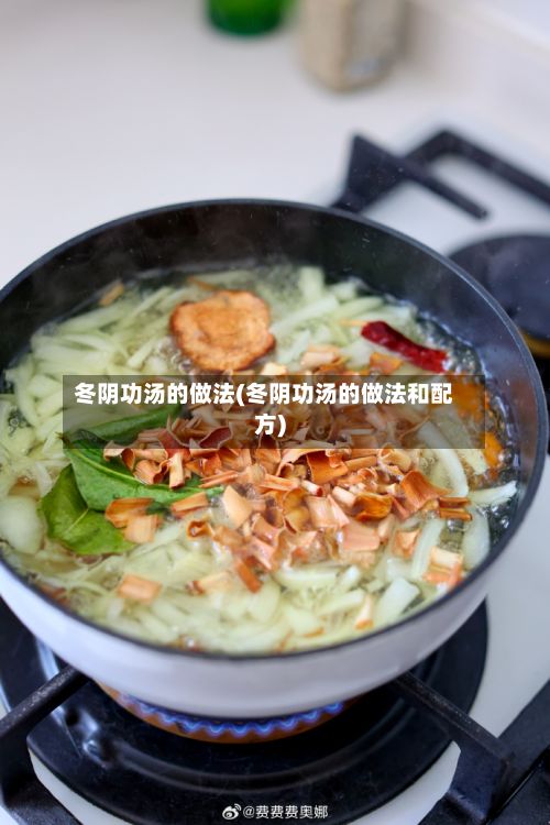冬阴功汤的做法(冬阴功汤的做法和配方)-第3张图片