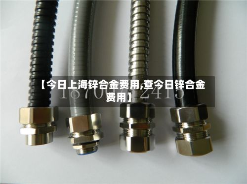 【今日上海锌合金费用,查今日锌合金费用】-第2张图片