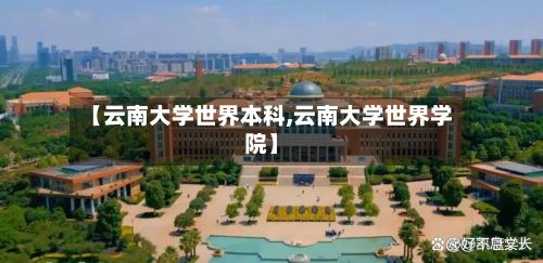 【云南大学世界本科,云南大学世界学院】