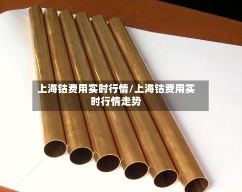 上海钴费用实时行情/上海钴费用实时行情走势
