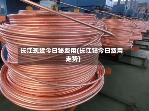 长江现货今日铋费用(长江钴今日费用走势)