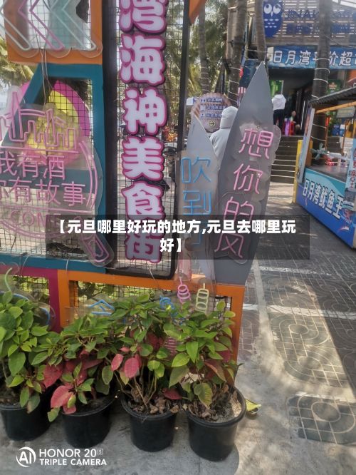 【元旦哪里好玩的地方,元旦去哪里玩好】-第3张图片