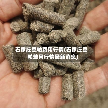 石家庄豆粕费用行情(石家庄豆粕费用行情最新消息)