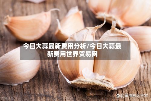 今日大蒜最新费用分析/今日大蒜最新费用世界贸易网-第2张图片