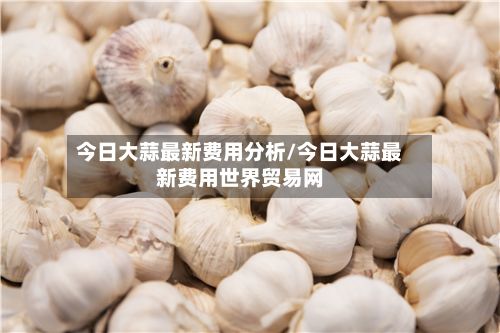 今日大蒜最新费用分析/今日大蒜最新费用世界贸易网