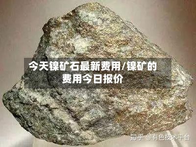 今天镍矿石最新费用/镍矿的费用今日报价