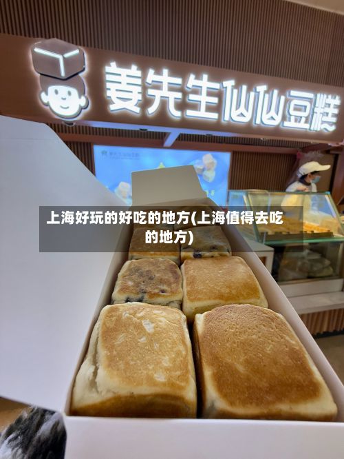 上海好玩的好吃的地方(上海值得去吃的地方)