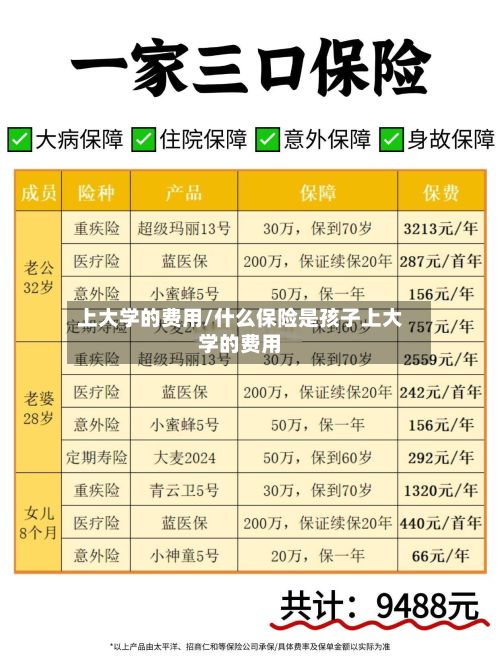 上大学的费用/什么保险是孩子上大学的费用