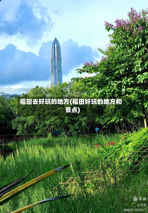 福田去好玩的地方(福田好玩的地方和景点)-第2张图片