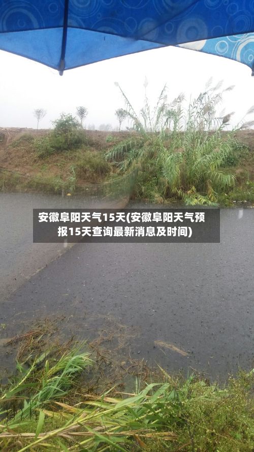 安徽阜阳天气15天(安徽阜阳天气预报15天查询最新消息及时间)