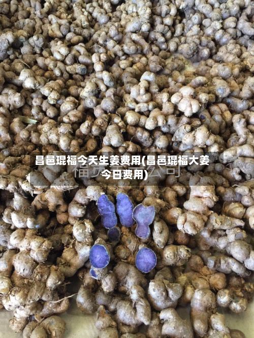 昌邑琨福今天生姜费用(昌邑琨福大姜今日费用)