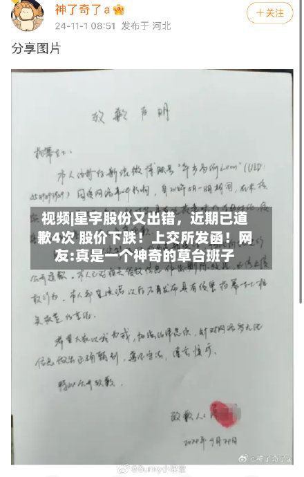 视频|星宇股份又出错，近期已道歉4次 股价下跌！上交所发函！网友:真是一个神奇的草台班子