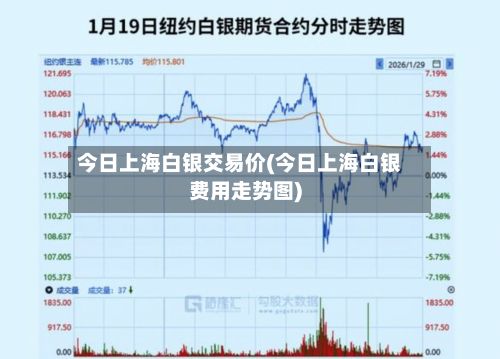 今日上海白银交易价(今日上海白银费用走势图)