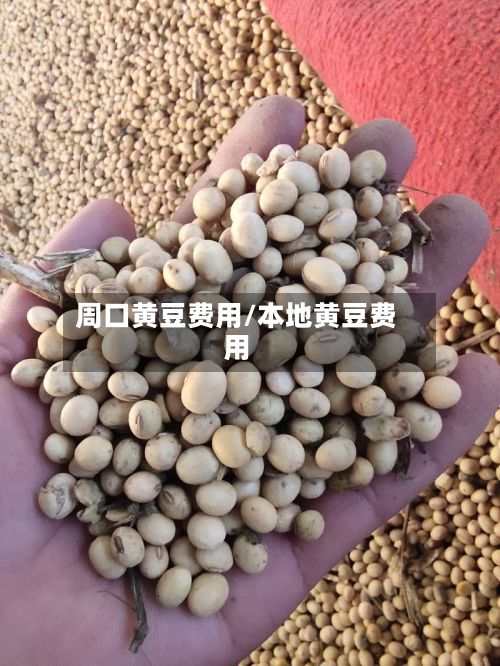 周口黄豆费用/本地黄豆费用
