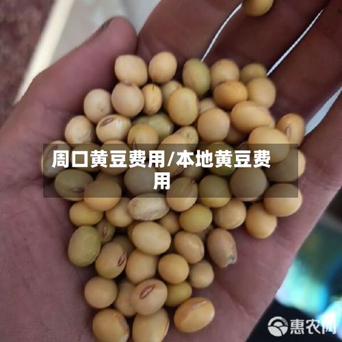 周口黄豆费用/本地黄豆费用-第3张图片