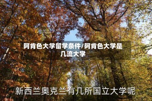 阿肯色大学留学条件/阿肯色大学是几流大学-第2张图片