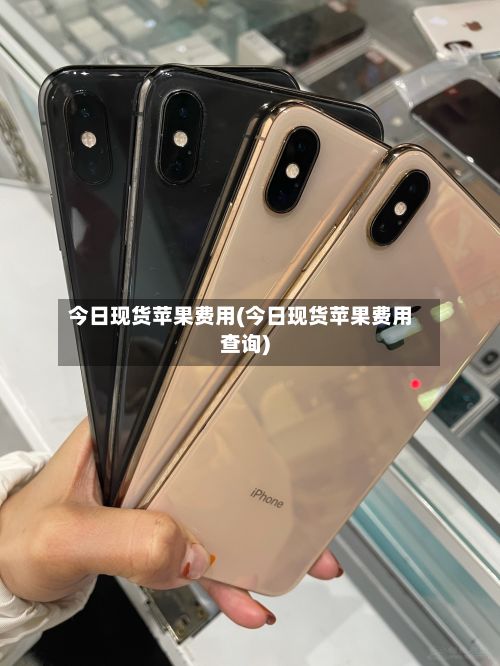今日现货苹果费用(今日现货苹果费用查询)-第2张图片