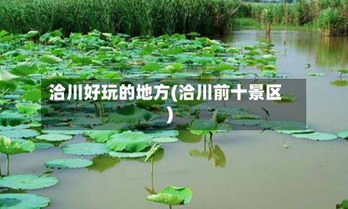 洽川好玩的地方(洽川前十景区)-第2张图片