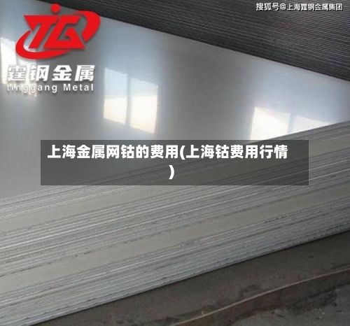 上海金属网钴的费用(上海钴费用行情)